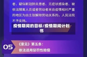 疫情期间的目标/疫情期间计划书