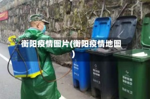 衡阳疫情图片(衡阳疫情地图)