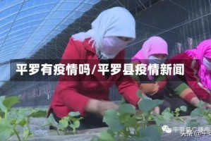 平罗有疫情吗/平罗县疫情新闻