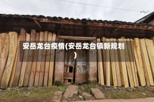 安岳龙台疫情(安岳龙台镇新规划)