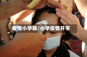 疫情小学期/小学疫情开学