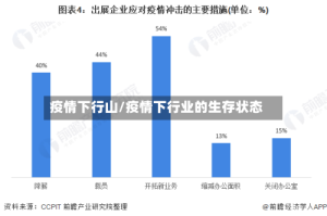 疫情下行山/疫情下行业的生存状态