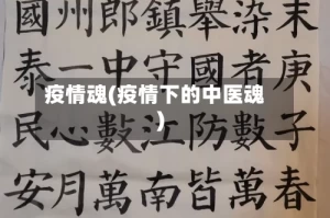 疫情魂(疫情下的中医魂)