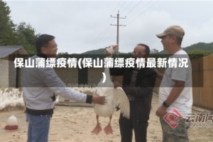 保山蒲缥疫情(保山蒲缥疫情最新情况)