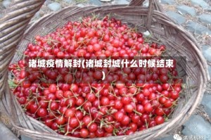 诸城疫情解封(诸城封城什么时候结束)