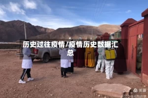 历史过往疫情/疫情历史数据汇总