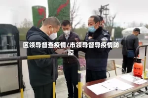 区领导督查疫情/市领导督导疫情防控