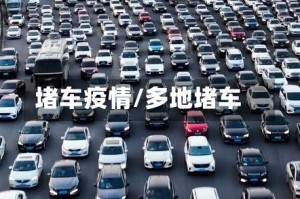 堵车疫情/多地堵车