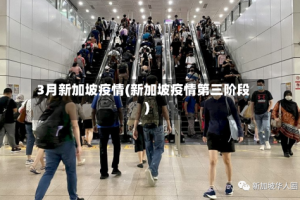 3月新加坡疫情(新加坡疫情第三阶段)