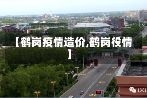 【鹤岗疫情造价,鹤岗役情】