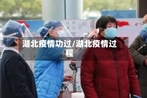 湖北疫情功过/湖北疫情过程