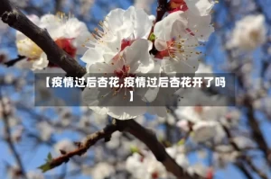 【疫情过后杏花,疫情过后杏花开了吗】