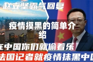 疫情摸黑的简单介绍