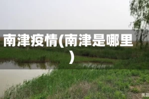 南津疫情(南津是哪里)