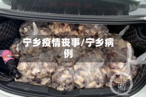 宁乡疫情丧事/宁乡病例