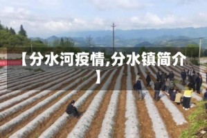【分水河疫情,分水镇简介】