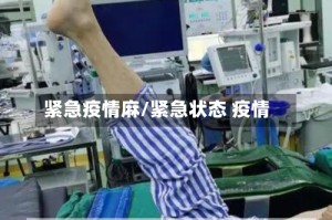 紧急疫情麻/紧急状态 疫情