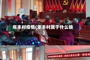 年丰村疫情(年丰村属于什么镇)