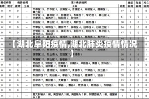 【湖北阜阳疫情,湖北肺炎疫情情况】