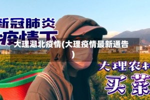 大理湖北疫情(大理疫情最新通告)