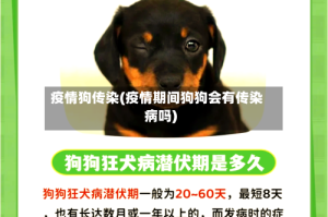 疫情狗传染(疫情期间狗狗会有传染病吗)