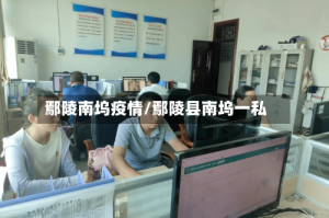 鄢陵南坞疫情/鄢陵县南坞一私