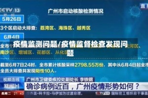 疫情监测问题/疫情监督检查发现问题