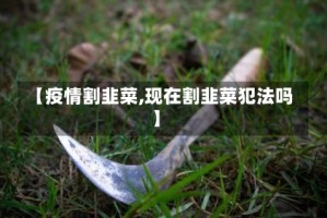 【疫情割韭菜,现在割韭菜犯法吗】