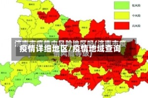 疫情详细地区/疫情地域查询