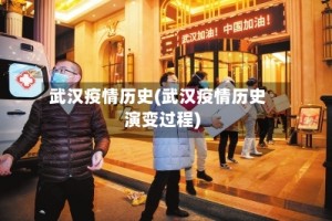 武汉疫情历史(武汉疫情历史演变过程)