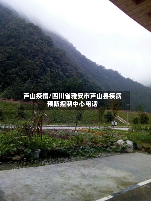 芦山疫情/四川省雅安市芦山县疾病预防控制中心电话-第1张图片