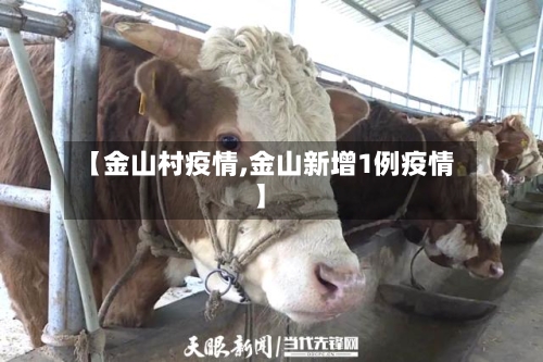 【金山村疫情,金山新增1例疫情】-第1张图片