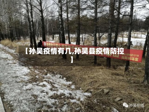 【孙吴疫情有几,孙吴县疫情防控】-第1张图片