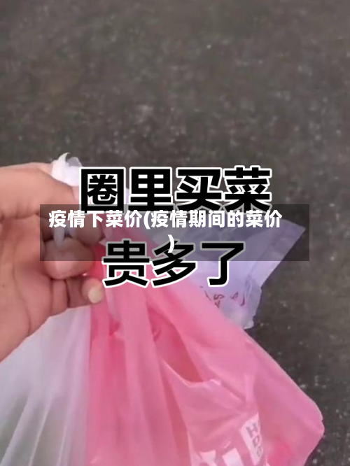 疫情下菜价(疫情期间的菜价)-第2张图片