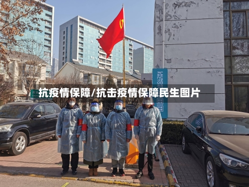 抗疫情保障/抗击疫情保障民生图片-第1张图片