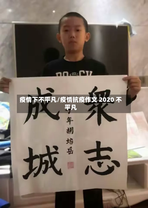 疫情下不平凡/疫情抗疫作文 2020 不平凡-第2张图片