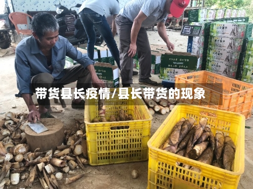 带货县长疫情/县长带货的现象-第1张图片