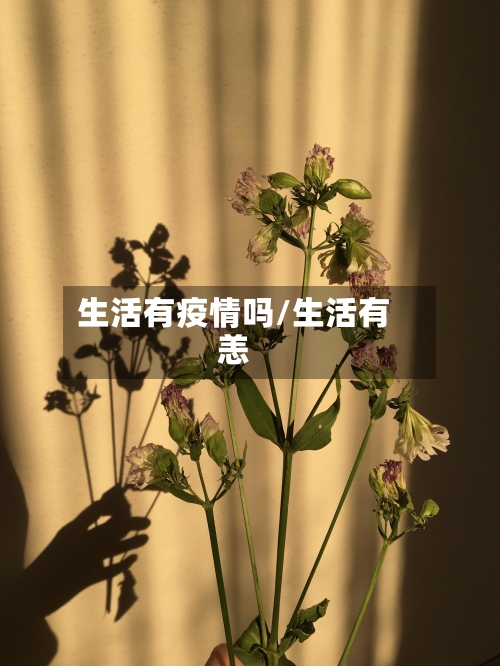生活有疫情吗/生活有恙-第2张图片