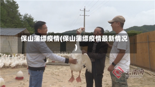 保山蒲缥疫情(保山蒲缥疫情最新情况)-第1张图片