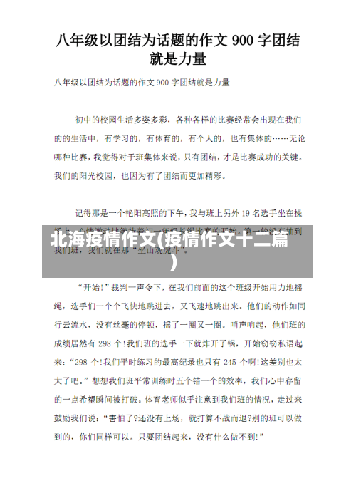 北海疫情作文(疫情作文十二篇)-第1张图片