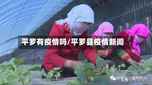 平罗有疫情吗/平罗县疫情新闻-第1张图片
