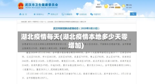 湖北疫情每天(湖北疫情本地多少天零增加)-第1张图片