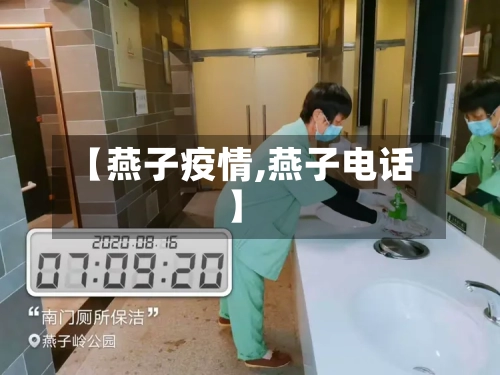 【燕子疫情,燕子电话】-第1张图片