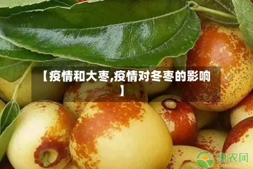 【疫情和大枣,疫情对冬枣的影响】-第1张图片