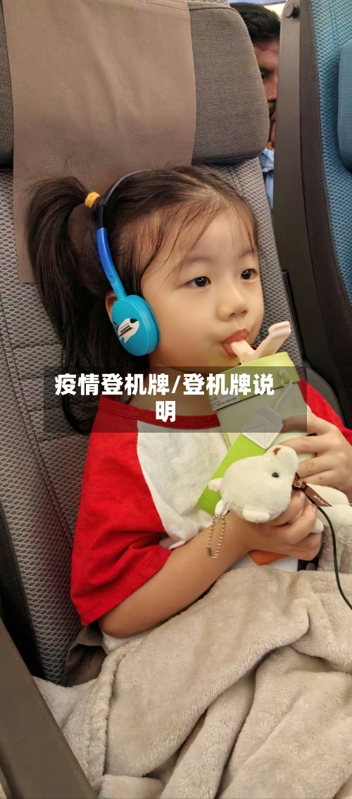 疫情登机牌/登机牌说明-第1张图片
