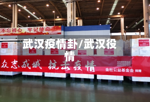 武汉疫情卦/武汉役情-第1张图片