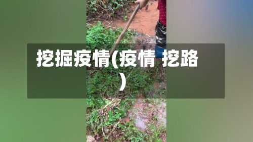 挖掘疫情(疫情 挖路)-第1张图片