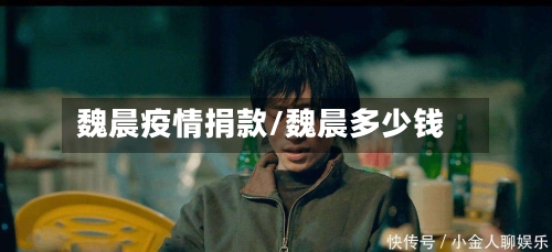 魏晨疫情捐款/魏晨多少钱-第1张图片