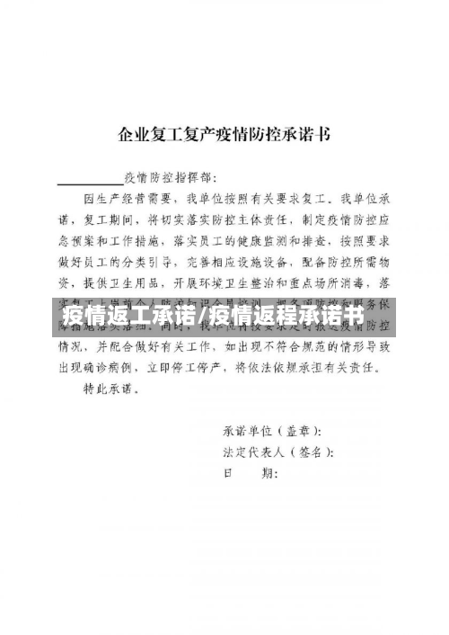 疫情返工承诺/疫情返程承诺书-第1张图片