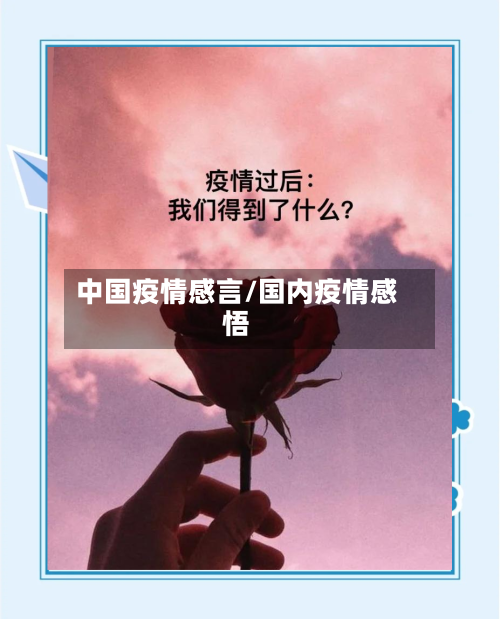 中国疫情感言/国内疫情感悟-第1张图片